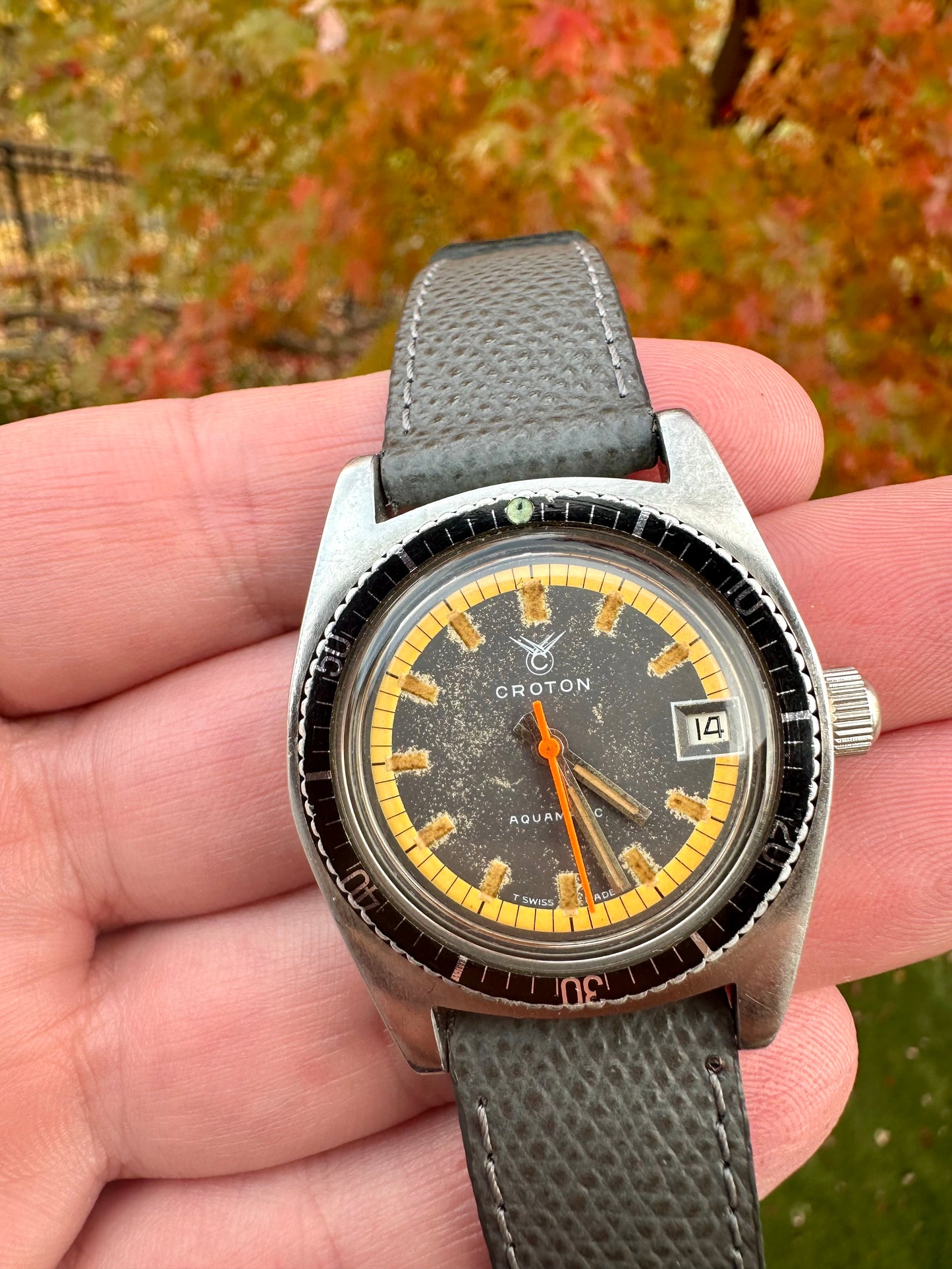 Croton Aquamatic Tropical Dial Vintage